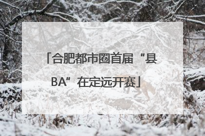 合肥都市圈首届“县BA”在定远开赛