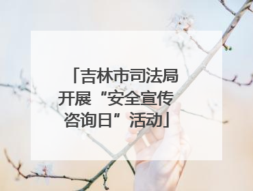 吉林市司法局开展“安全宣传咨询日”活动