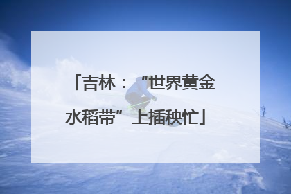 吉林：“世界黄金水稻带”上插秧忙