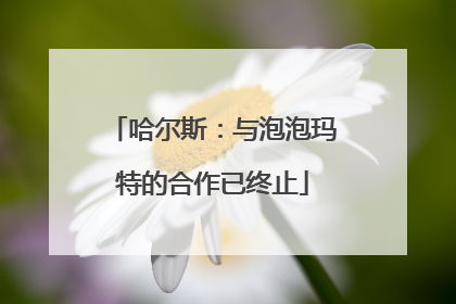 哈尔斯：与泡泡玛特的合作已终止