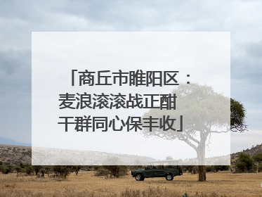 商丘市睢阳区：麦浪滚滚战正酣 干群同心保丰收