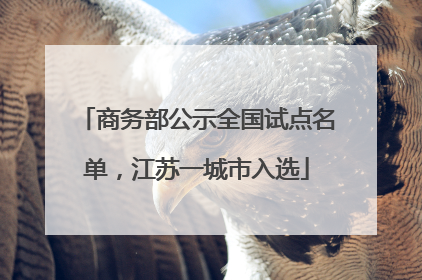 商务部公示全国试点名单，江苏一城市入选