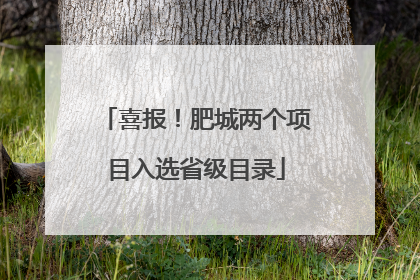 喜报！肥城两个项目入选省级目录
