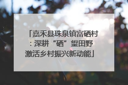 嘉禾县珠泉镇富硒村：深耕“硒”望田野 激活乡村振兴新动能