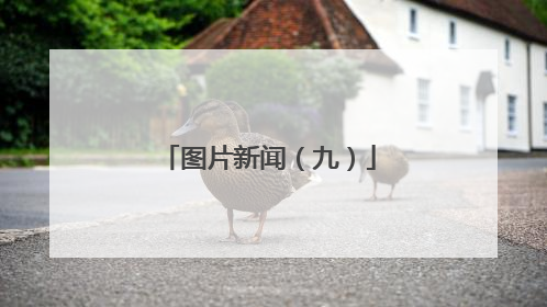 图片新闻（九）