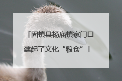 固镇县杨庙镇家门口建起了文化“粮仓”