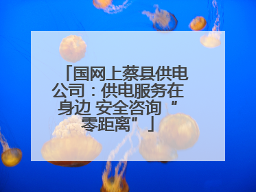 国网上蔡县供电公司：供电服务在身边 安全咨询“零距离”