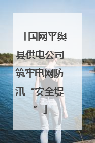 国网平舆县供电公司筑牢电网防汛“安全堤”