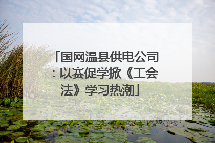 国网温县供电公司：以赛促学掀《工会法》学习热潮