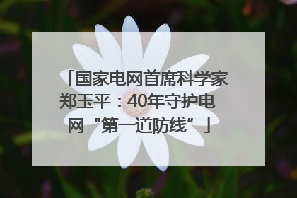 国家电网首席科学家郑玉平：40年守护电网“第一道防线”