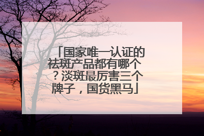 国家唯一认证的祛斑产品都有哪个？淡斑最厉害三个牌子，国货黑马