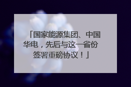 国家能源集团、中国华电，先后与这一省份签署重磅协议！