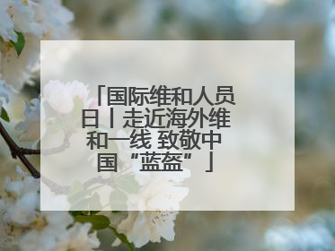国际维和人员日丨走近海外维和一线 致敬中国“蓝盔”
