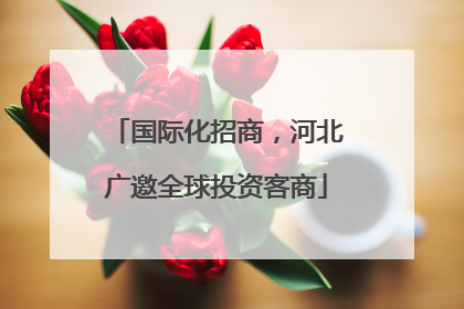 国际化招商，河北广邀全球投资客商