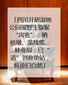 四川井研湿地公园现野生猕猴 “房客”：栖桥墩、荡线缆……林业局：已“请”到救助站，将放归自然