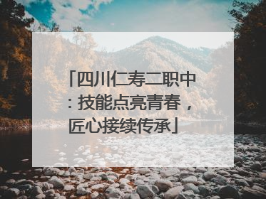 四川仁寿二职中：技能点亮青春，匠心接续传承