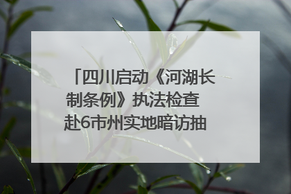 四川启动《河湖长制条例》执法检查 赴6市州实地暗访抽查｜四川人大之声