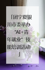 团宁夏银川市委举办“AI+青年就业”技能培训活动