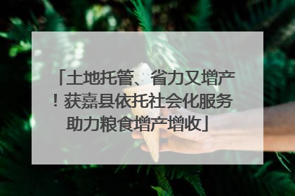 土地托管、省力又增产！获嘉县依托社会化服务助力粮食增产增收