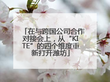 在与跨国公司合作对接会上，从“KITE”的四个维度重新打开潍坊