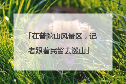 在普陀山风景区，记者跟着民警去巡山
