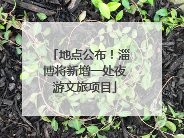 地点公布！淄博将新增一处夜游文旅项目