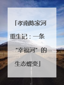 孝南陈家河重生记：一条“幸福河”的生态蝶变