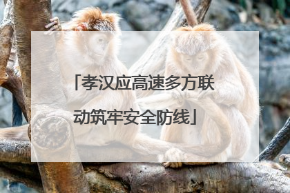 孝汉应高速多方联动筑牢安全防线