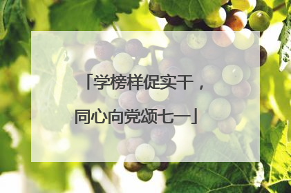 学榜样促实干，同心向党颂七一