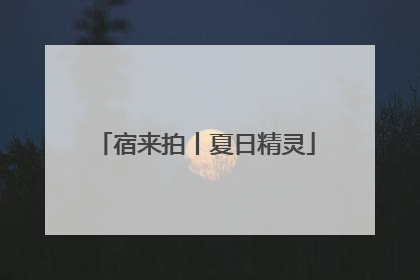 宿来拍丨夏日精灵