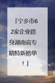 宁乡市62家企业跻身湖南省专精特新榜单！