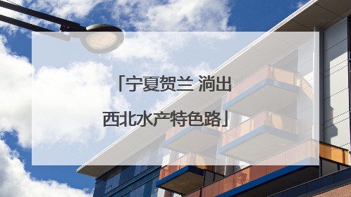 宁夏贺兰 淌出西北水产特色路