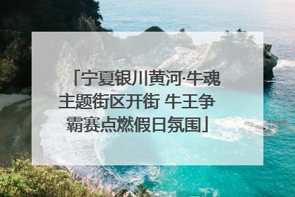 宁夏银川黄河·牛魂主题街区开街 牛王争霸赛点燃假日氛围
