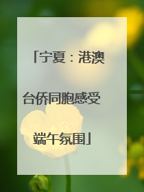 宁夏：港澳台侨同胞感受端午氛围