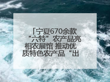 宁夏670余款“六特”农产品亮相农展馆 推动优质特色农产品“出宁进京”