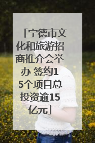 宁德市文化和旅游招商推介会举办 签约15个项目总投资逾15亿元
