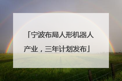 宁波布局人形机器人产业，三年计划发布