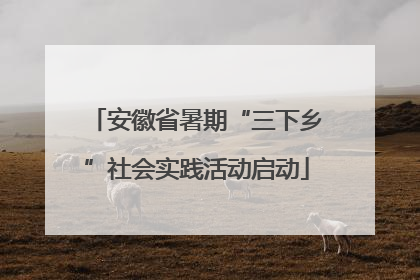 安徽省暑期“三下乡”社会实践活动启动