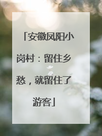 安徽凤阳小岗村：留住乡愁，就留住了游客