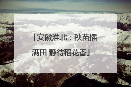 安徽淮北：秧苗插满田 静待稻花香