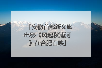 安徽首部新文旅电影《风起秋浦河》在合肥首映