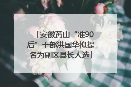 安徽黄山“准90后”干部洪国华拟提名为副区县长人选