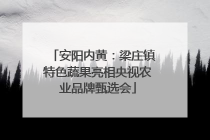 安阳内黄：梁庄镇特色蔬果亮相央视农业品牌甄选会