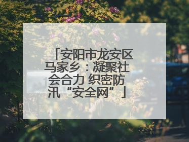 安阳市龙安区马家乡：凝聚社会合力 织密防汛“安全网”