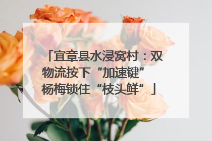宜章县水浸窝村：双物流按下“加速键” 杨梅锁住“枝头鲜”
