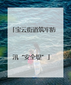 宝云街道筑牢防汛“安全堤”