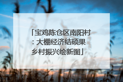 宝鸡陈仓区南阳村：大棚经济结硕果 乡村振兴绘新图