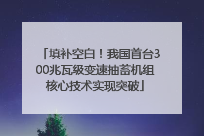 填补空白！我国首台300兆瓦级变速抽蓄机组核心技术实现突破