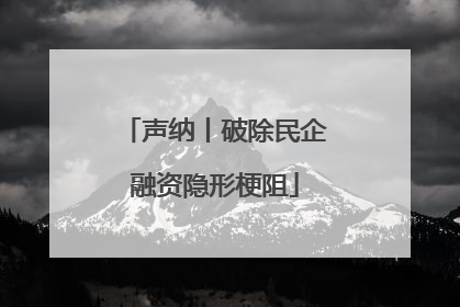声纳丨破除民企融资隐形梗阻