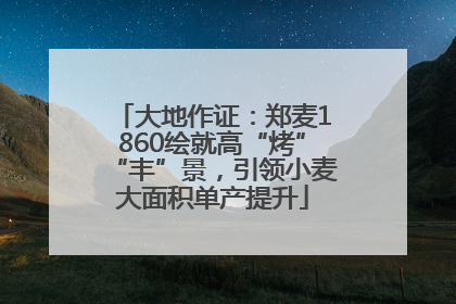 大地作证：郑麦1860绘就高“烤”“丰”景，引领小麦大面积单产提升